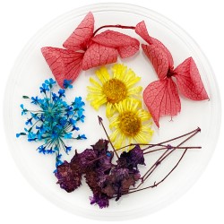 Dried flowers in a flat jar...