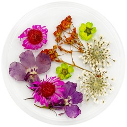 Dried flowers in a flat jar...