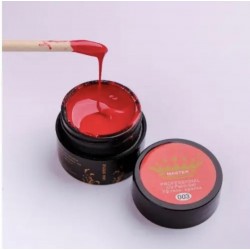 ***Gel paint MP 5g №003...