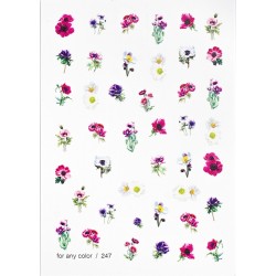 3D slider 247___IVN(4425)