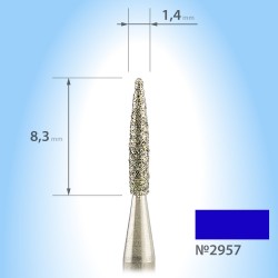 Diamond flame-shaped burr...