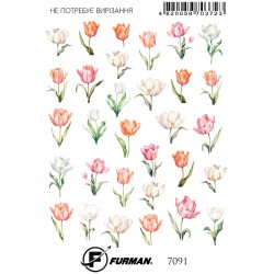 СЛАЙДЕР 7091___HAV (7091)