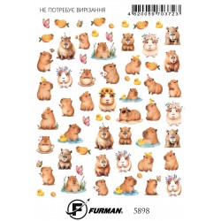 SLIDER 5898 ___HAV (5898)