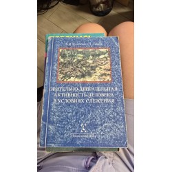 *** зрительно-двигательная...